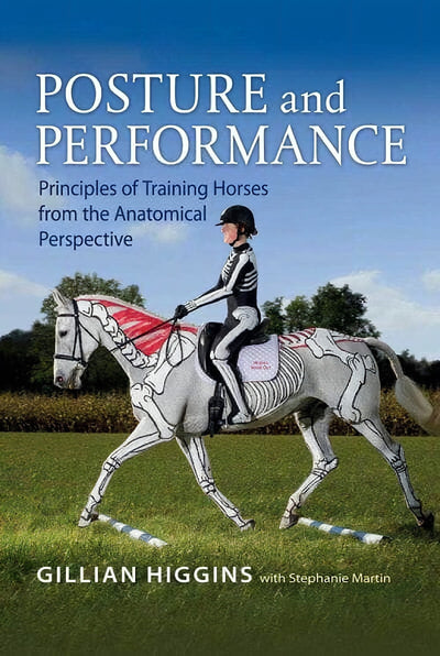 Posture And Performance Principles Of Training Horses From The Anatomical Perspective