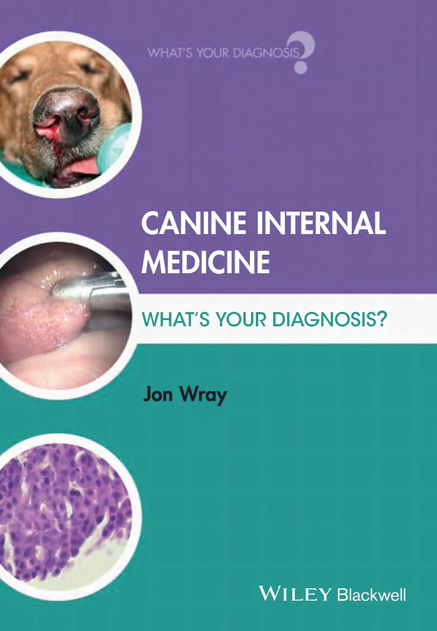 Canine Internal Medicine: What's Your Diagnosis?