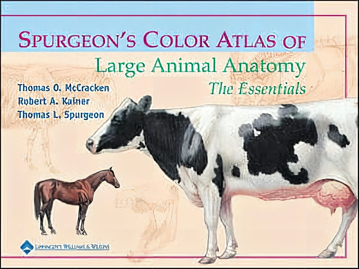 Spurgeon's Color Atlas of Large Animal Anatomy: The Essentials