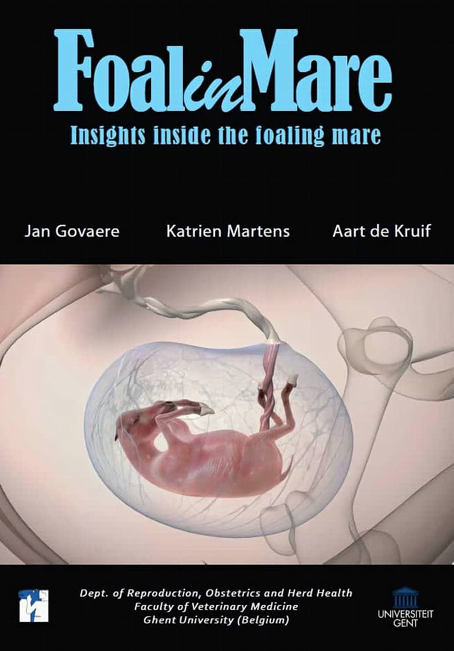 Foalinmare Dvd Insights Inside The Foaling Mare