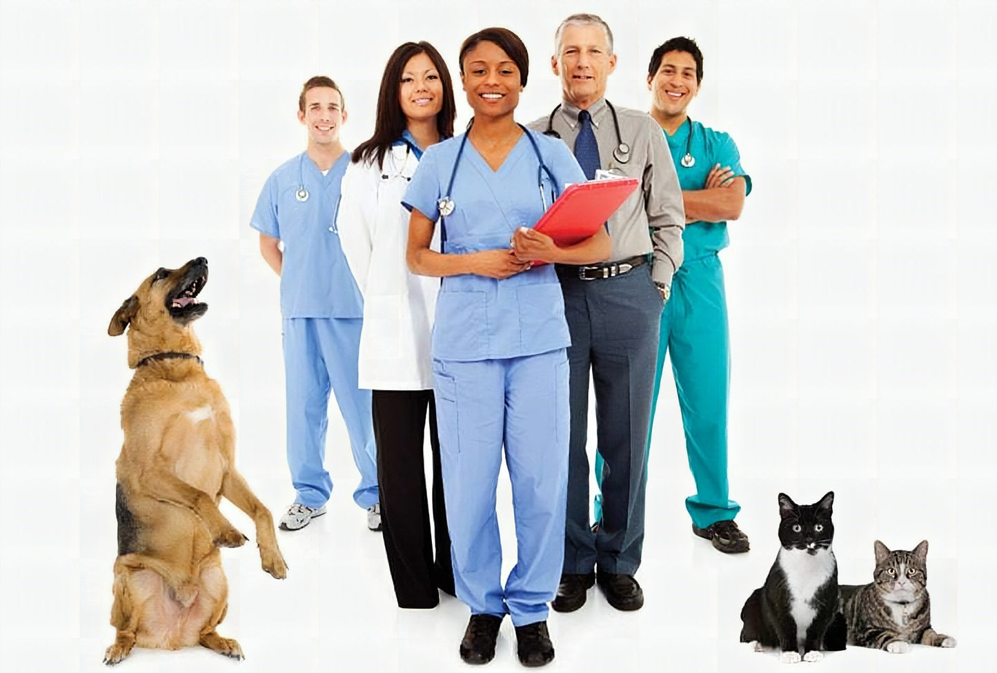 How To Start A Veterinary Practice