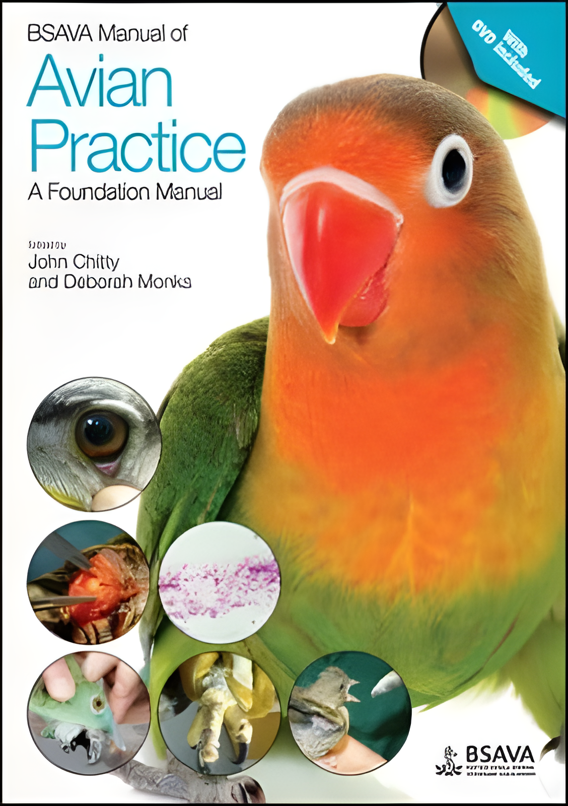 BSAVA Manual of Avian Practice, A Foundation Manual - Original Cover