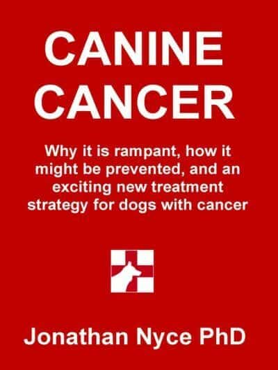 Canine Cancer, Why It Is Rampant, How to Prevent It, and an Exciting New Strategy for Treating Dogs