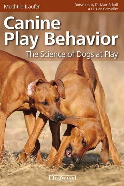 Canine Play Behavior The Science Of Dogs At Play