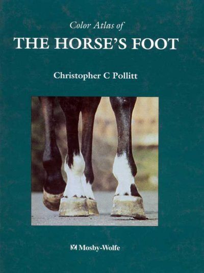 Color Atlas Of The Horses Foot