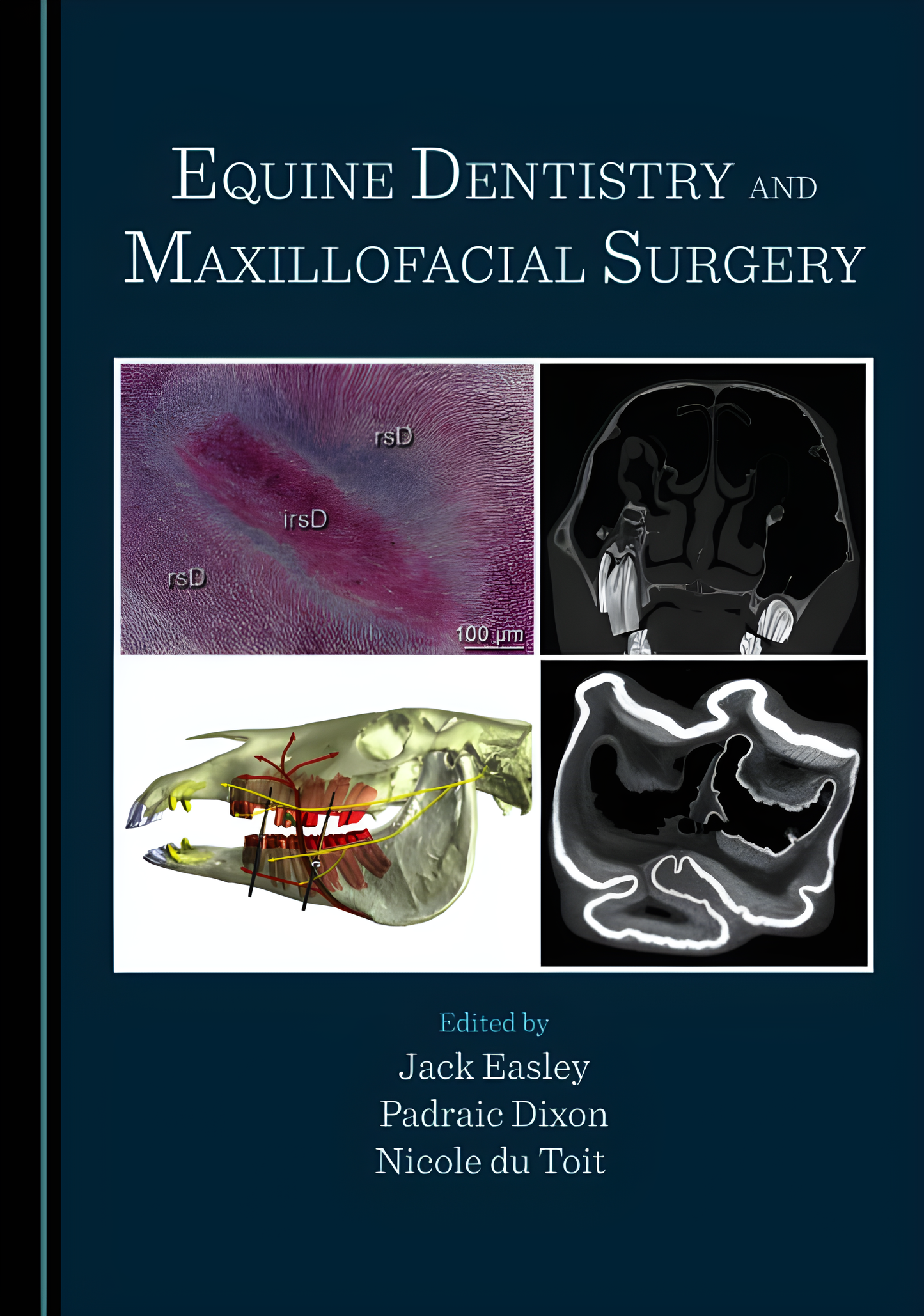 Equine Dentistry and Maxillofacial Surgery - Original Cover