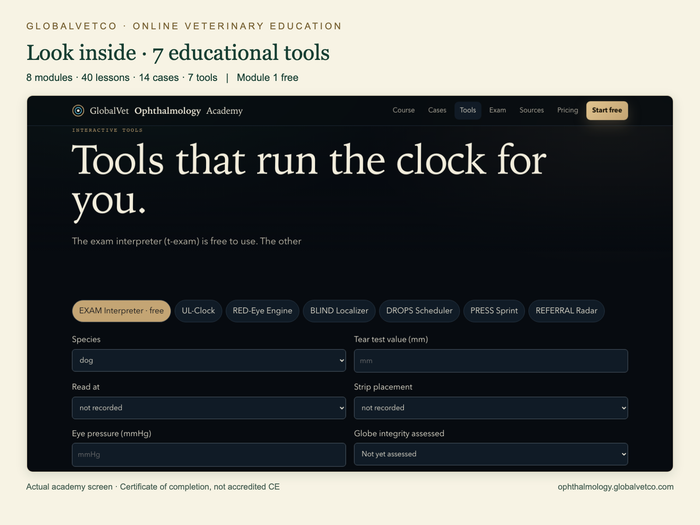 Actual Ophthalmology Academy educational tools screen.