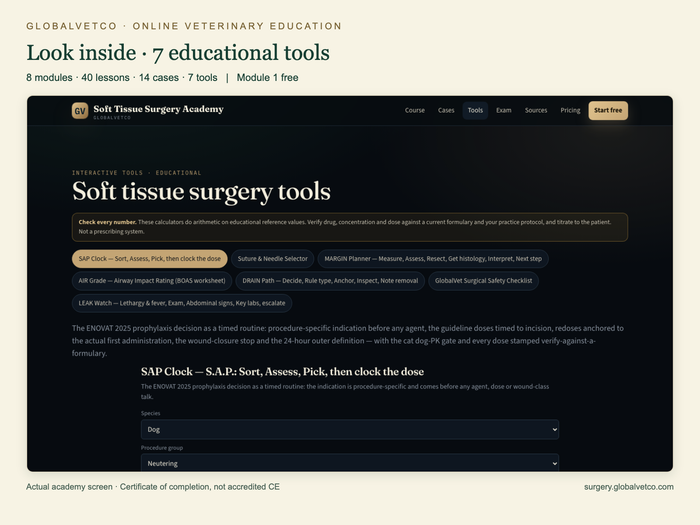 Actual Soft Tissue Surgery Academy educational tools screen.