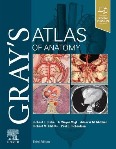 Grays Atlas Of Anatomy Ebook