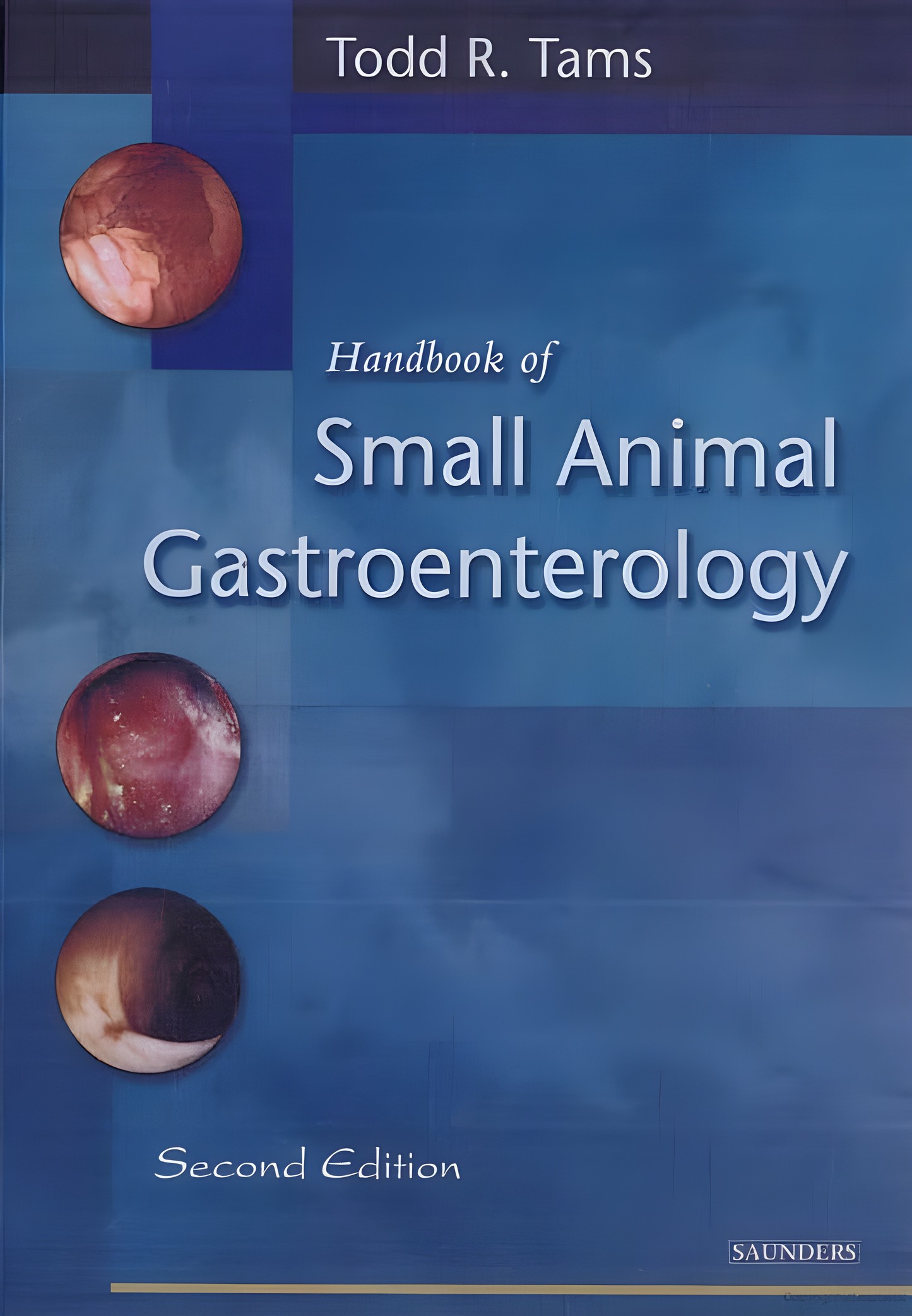 Handbook of Small Animal Practice 5th Edition - Original Cover