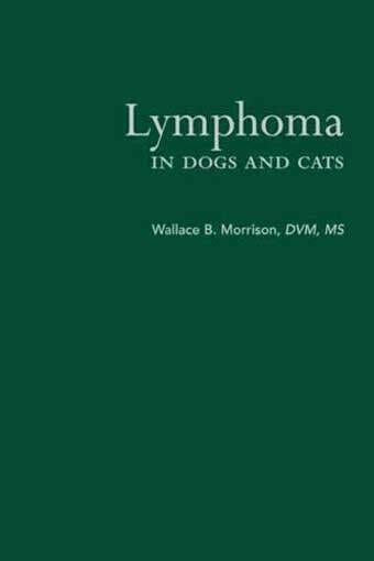 Lymphoma In Dog And Cats