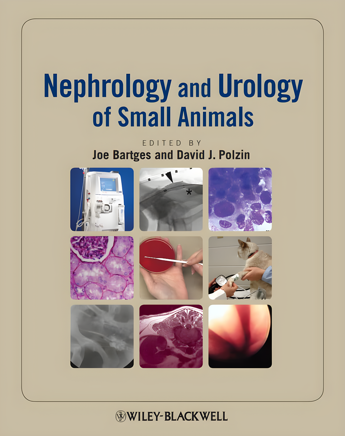 Nephrology and Urology of Small Animals - Original Cover