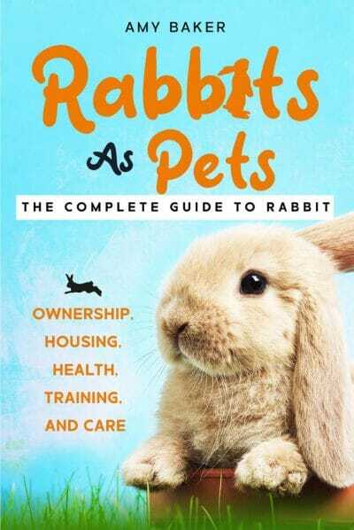 Rabbits As Pets The Complete Guide To Rabbit Ownership Housing Health Training And Care