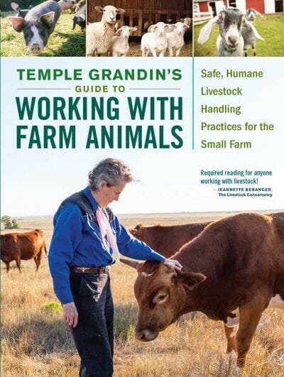 Temple Grandins Guide To Working With Farm Animals
