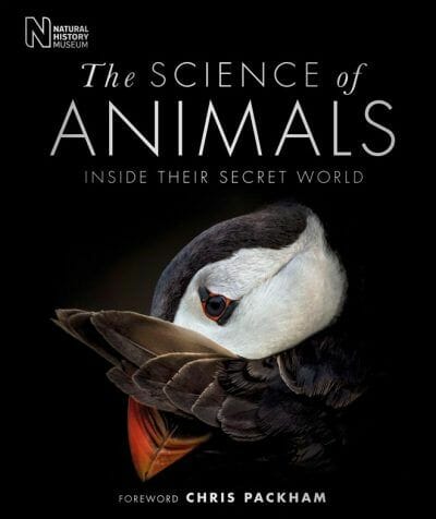 The Science Of Animals Inside Their Secret World