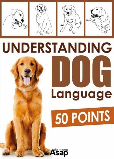 Understanding Dog Language 50 Points