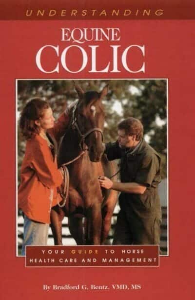 Understanding Equine Colic