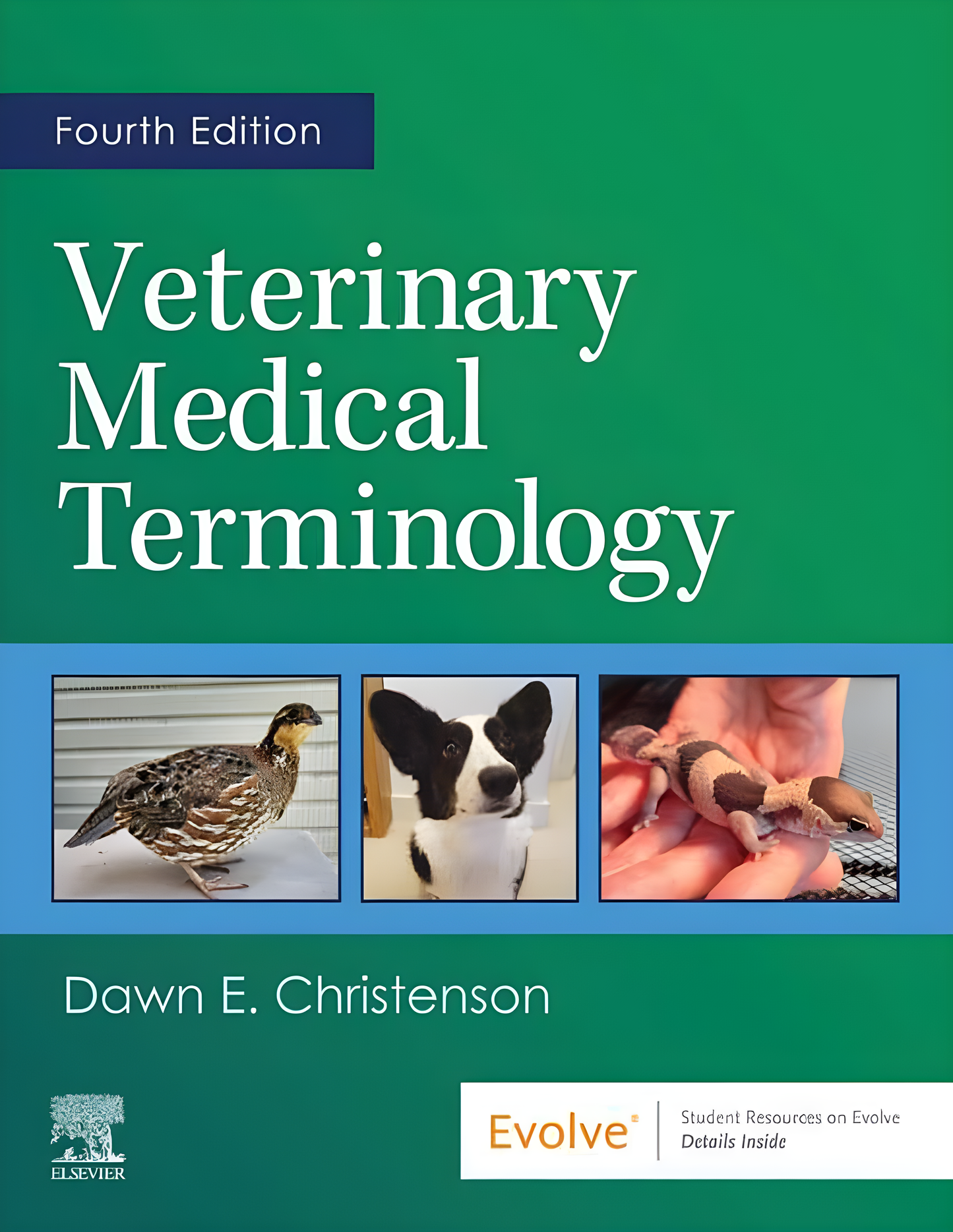 Veterinary Medical Terminology, 4th Edition - Original Cover