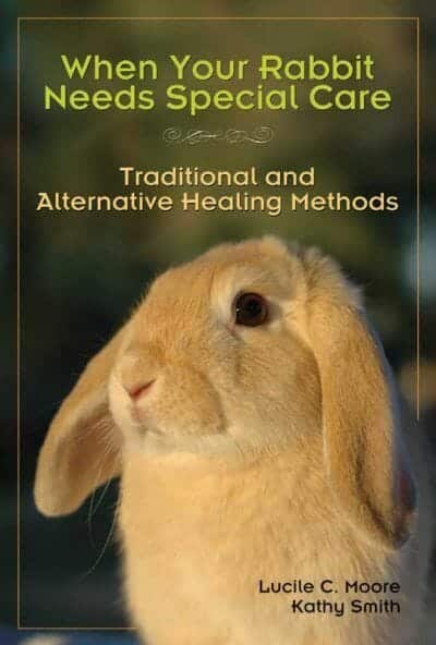 When Your Rabbit Needs Special Care Traditional And Alternative Healing Methods