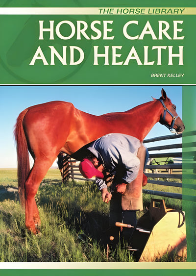 Horse Health And Care