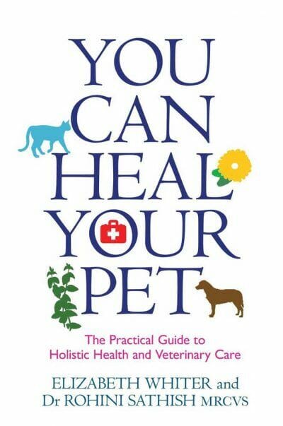 You Can Heal Your Pet The Practical Guide To Holistic Health And Veterinary Care Pdf