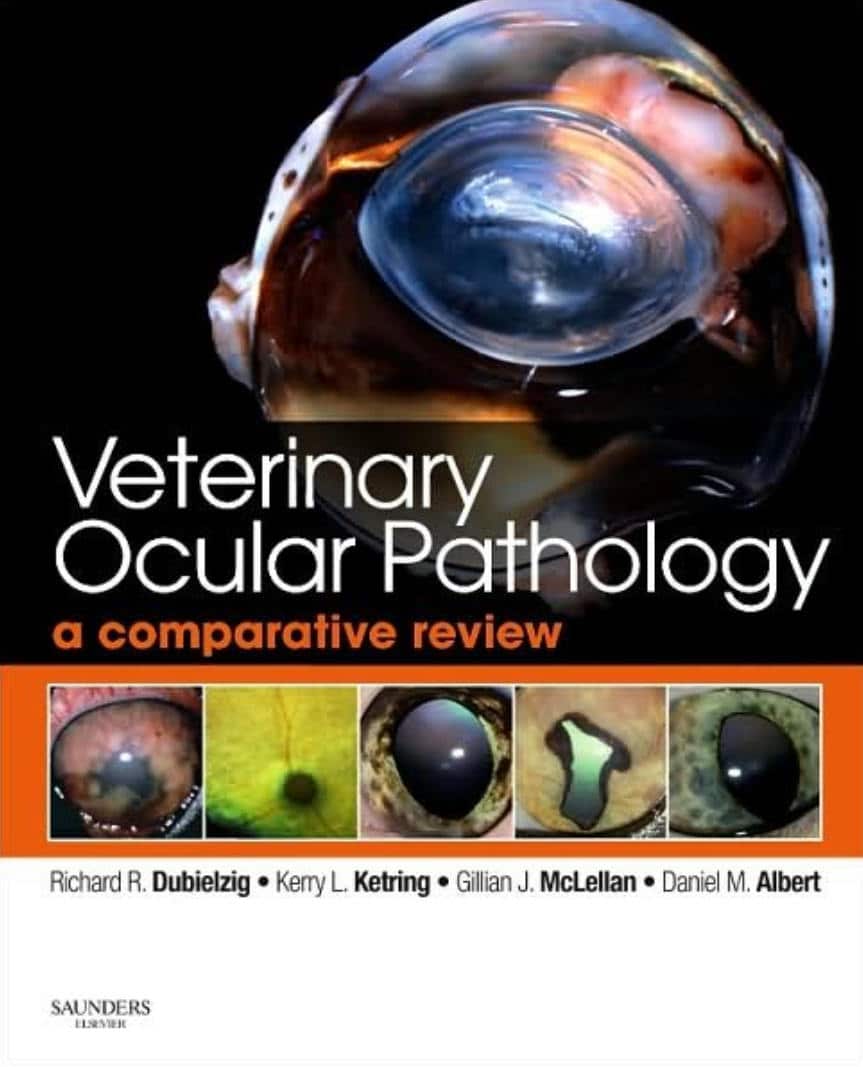 Veterinary Ocular Pathology A Comparative Review