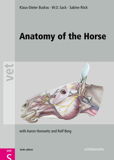 Anatomy Of The Horse 6Th Edition