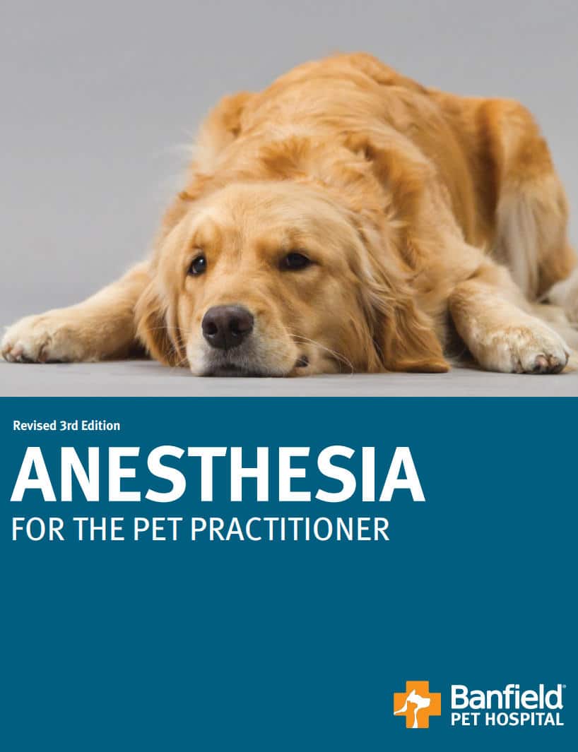 Anesthesia For The Pet Practitioner Revised 3rd Edition