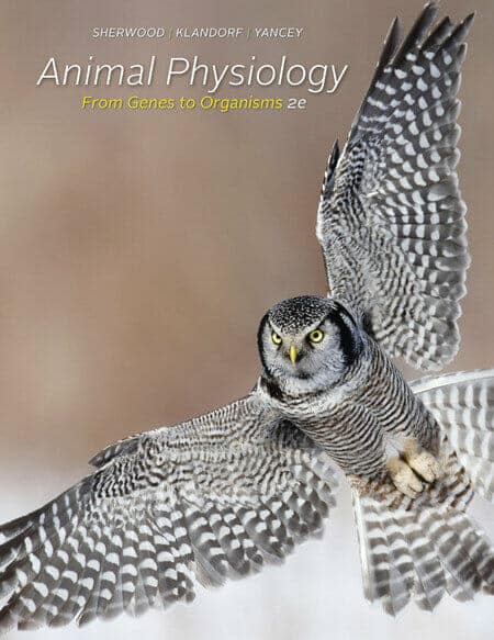 Animal Physiology From Genes To Organisms 2Nd Edition