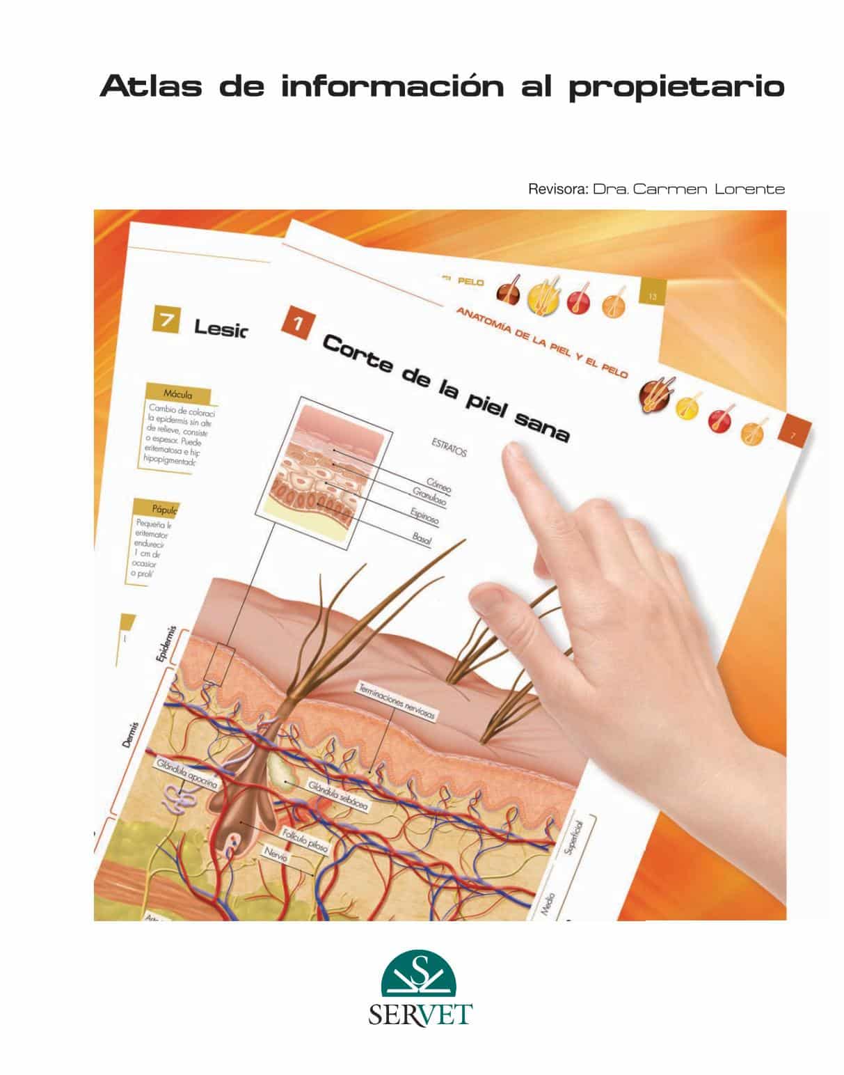 Atlas De Informacion Al Propietario Dermatologia