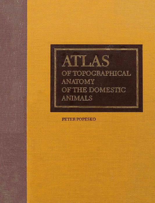 Atlas Of Topographical Anatomy Of The Domestic Animals 6Th Edition