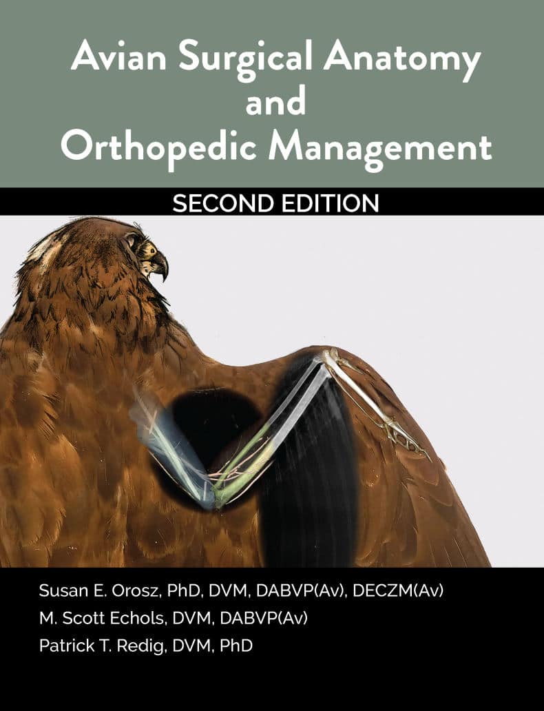Avian Surgical Anatomy And Orthopedic Management 2nd Edition