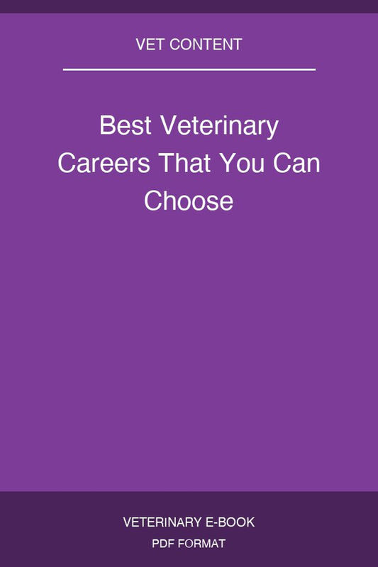 Best Veterinary Careers That You Can Choose