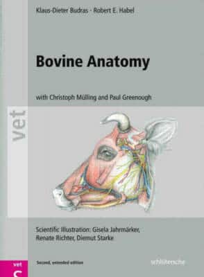 Bovine Anatomy An Illustrated Text 2D Edition