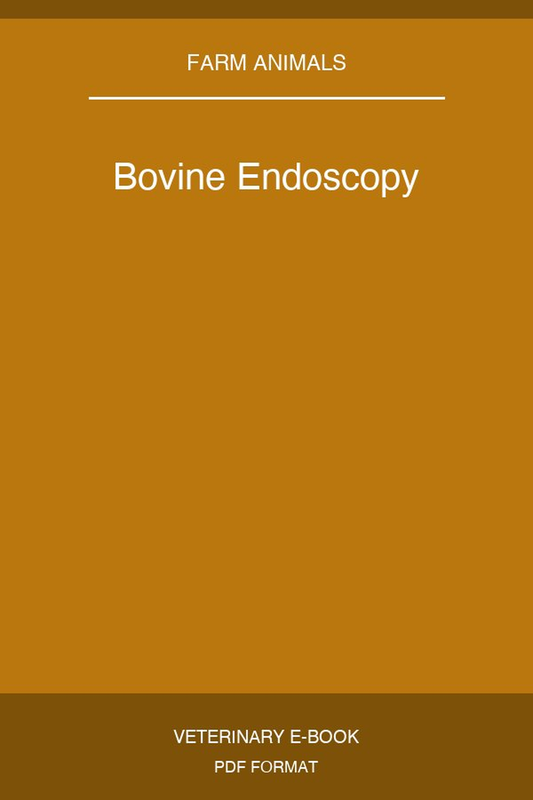 Bovine Endoscopy