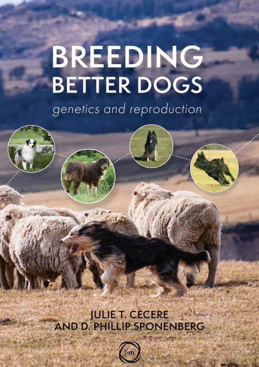 Breeding Better Dogs Genetics And Reproduction