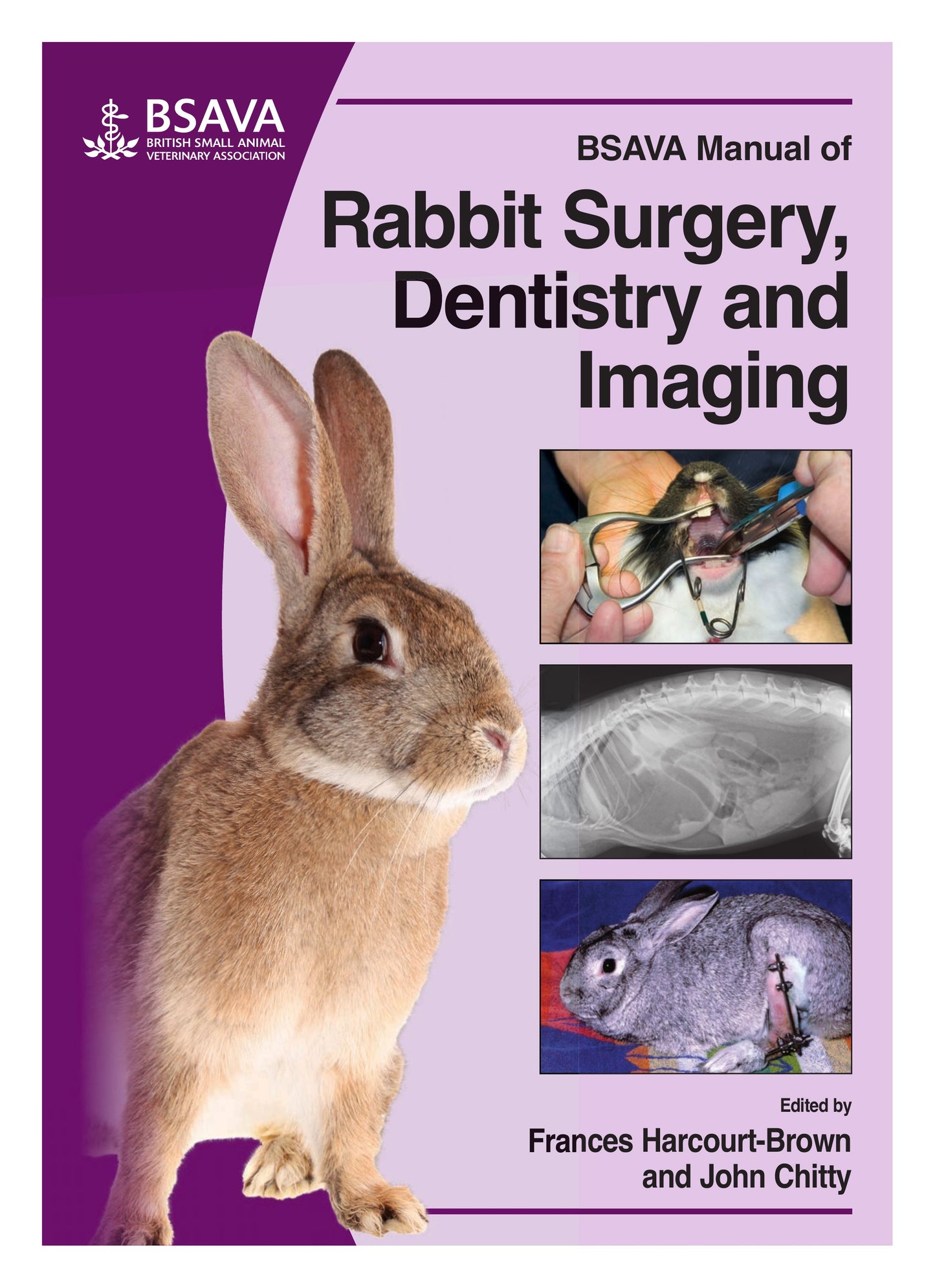 Bsava Manual Of Rabbit Surgery Dentistry and Imaging