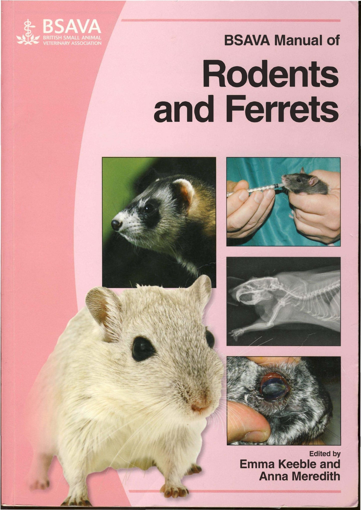 BSAVA Manual of Rodents and Ferrets