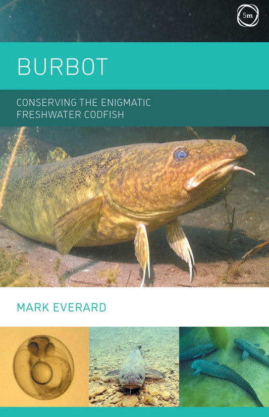Burbot Conserving The Enigmatic Freshwater Codfish