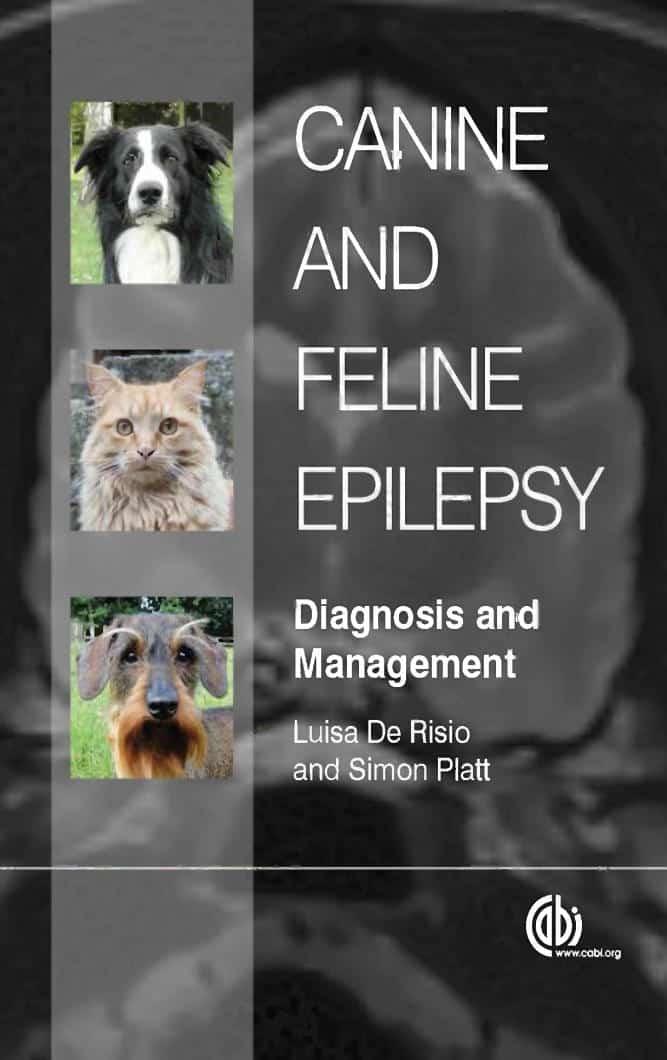Canine And Feline Epilepsy Diagnosis And Management