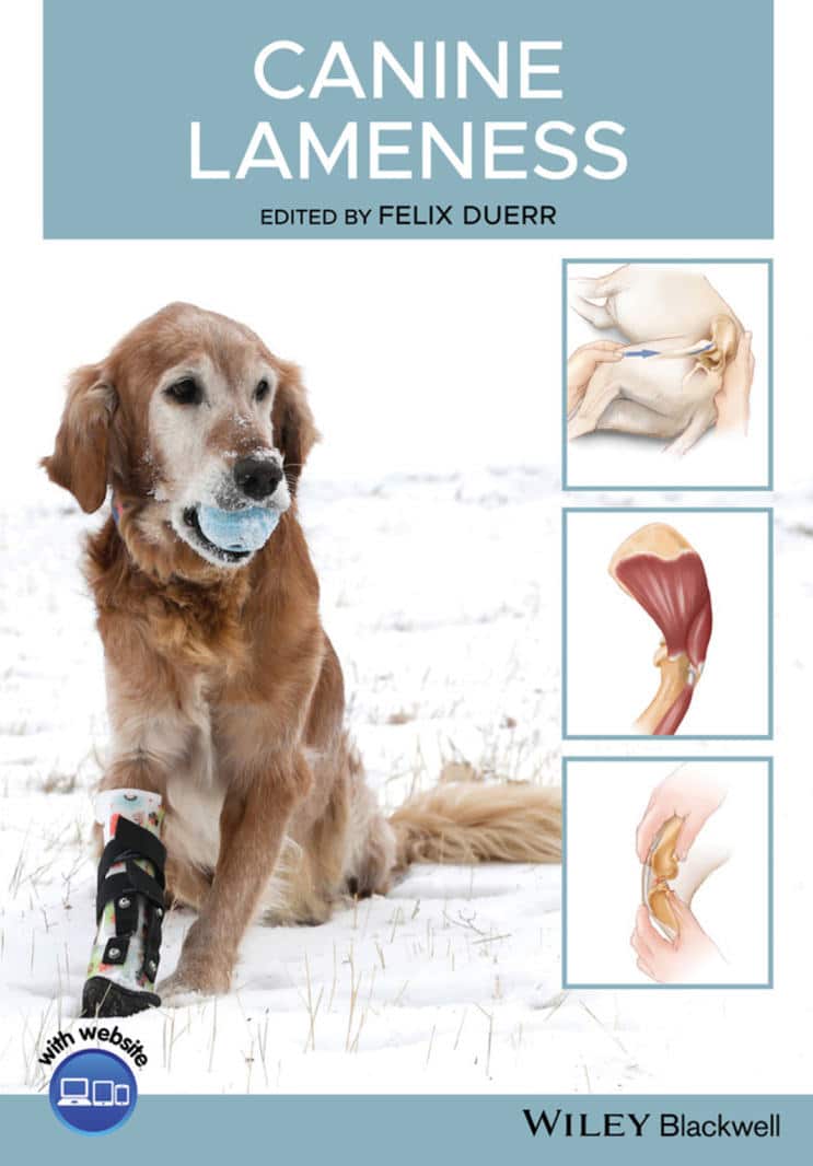 Canine Lameness Pdf
