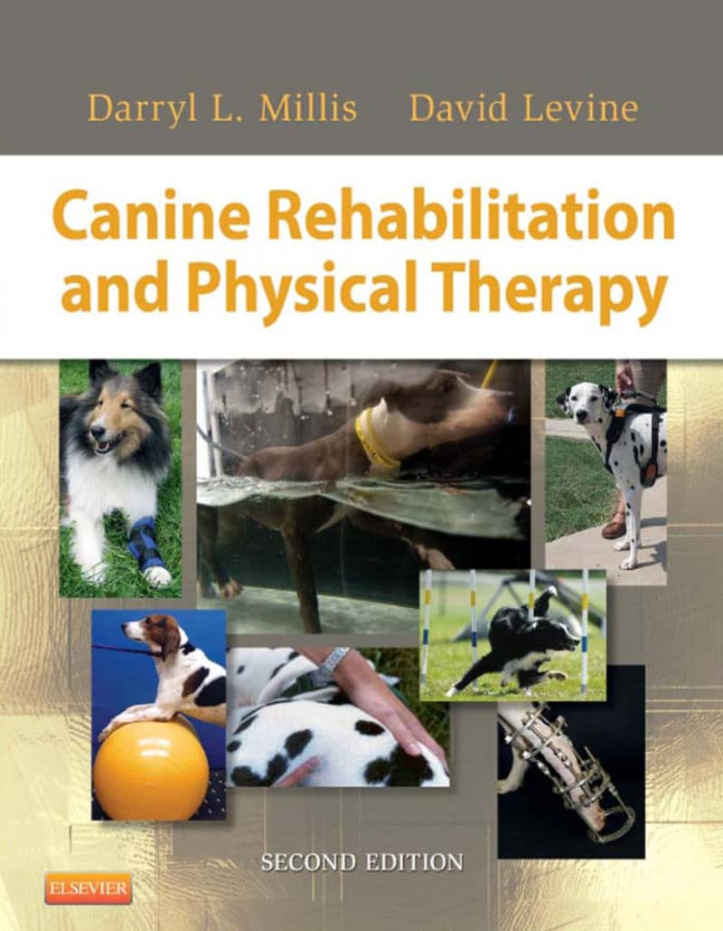Canine Rehabilitation And Physical Therapy 2Nd Edition
