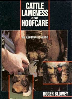 Cattle Lameness And Hoofcare — An Illustrated Guide