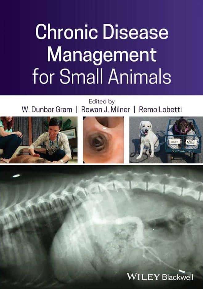 Chronic Disease Management For Small Animals