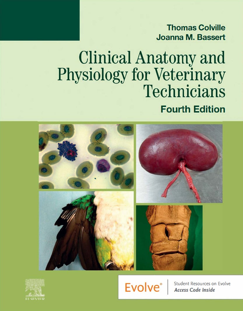 Clinical Anatomy And Physiology For Veterinary Technicians Fourth Edition