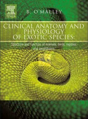 Clinical Anatomy And Physiology Of Exotic Species Structure And Function Of Mammals Birds Reptiles And Amphibians