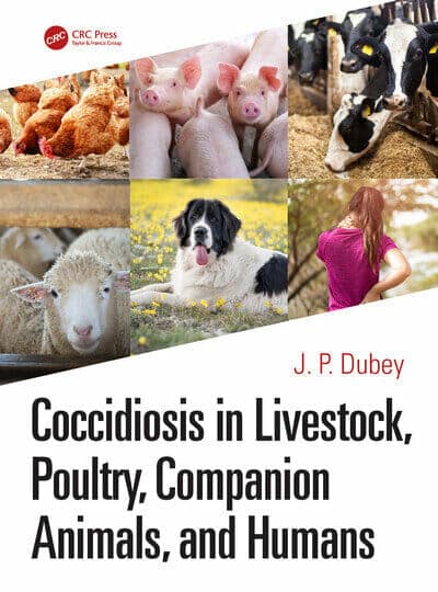 Coccidiosis In Livestock Poultry Companion Animals And Humans Pdf