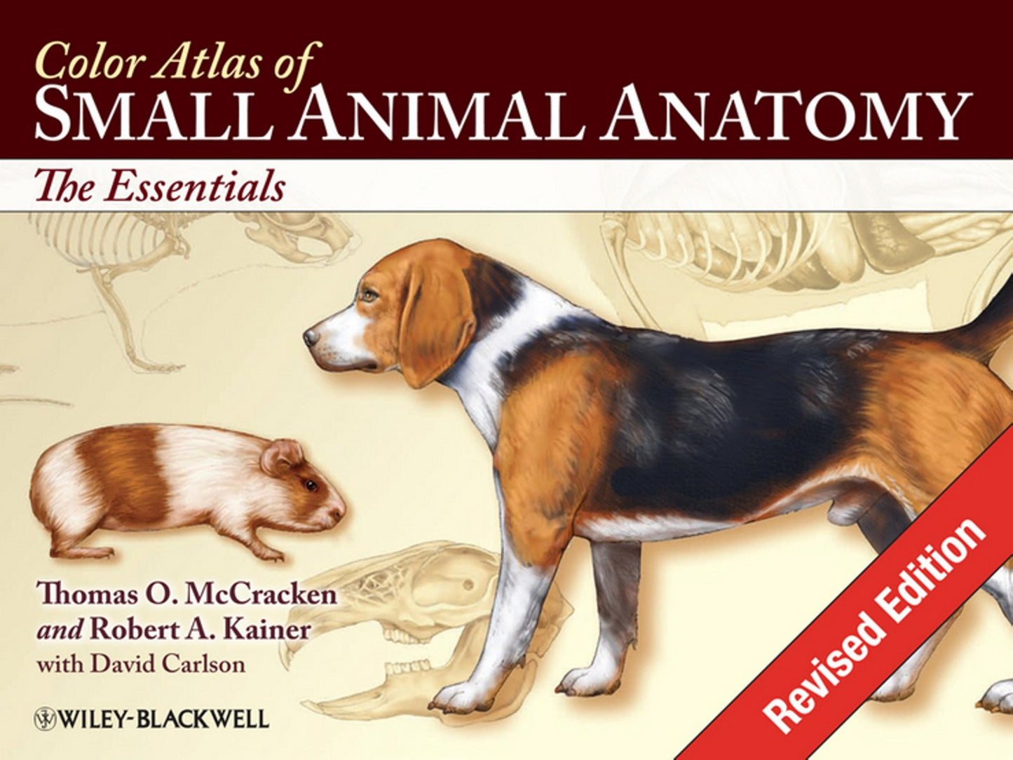 Color Atlas Small Animal Anatomy Essentials