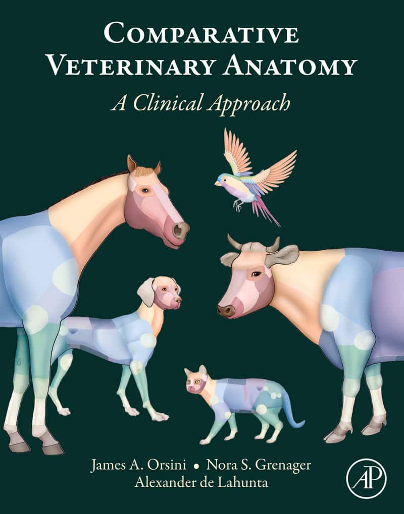 Comparative Veterinary Anatomy A Clinical Approach