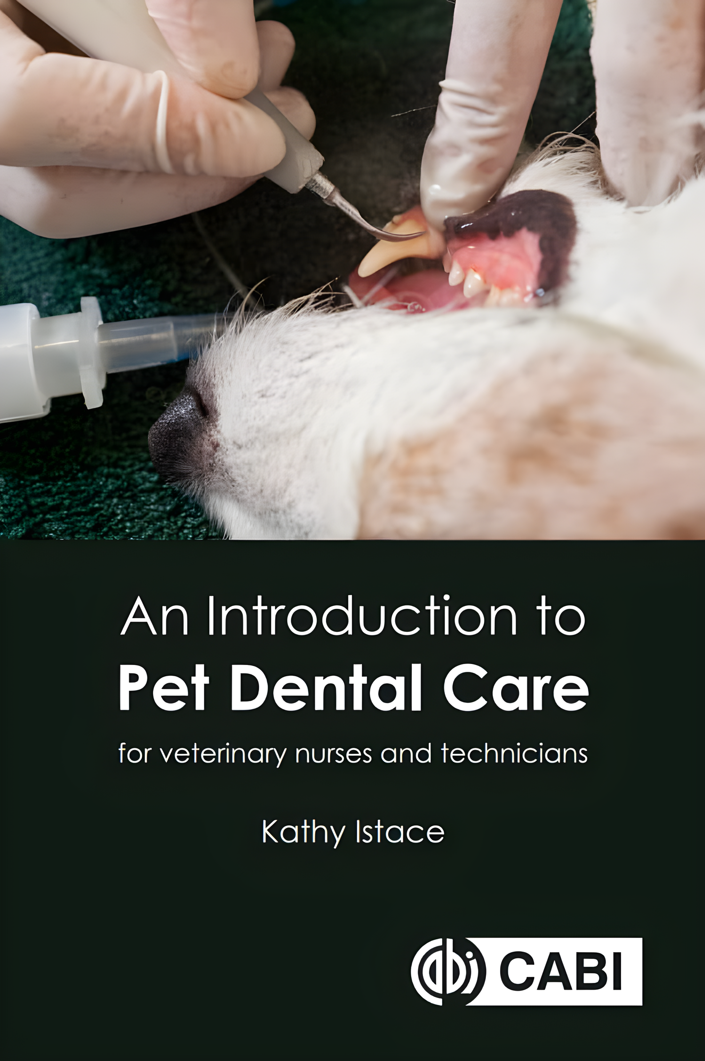 An Introduction to Pet Dental Care for Veterinary Nurses and Technicians